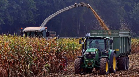 Ein Erntefahrzeig erntet ein Maisfeld ab. Die zerhexelten Maisblätter gelangen über eine langes, leicht gebogenes Rohr in den Anhänger eines Traktors, der daneben fährt.