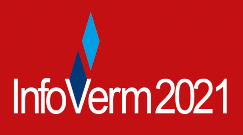 Das Logo der InfoVerm 2021 zeigt zwei kleine blaue Rauten auf rotem Grund und den Text InfoVerm 2021.
